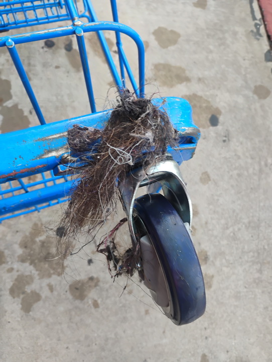 Shopping-cart caster wheel caked with tangled hair and grime before cleaning